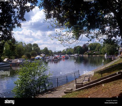 ametek sunbury on thames.